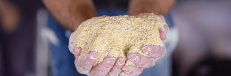 SoybeanMeal_1_752x248